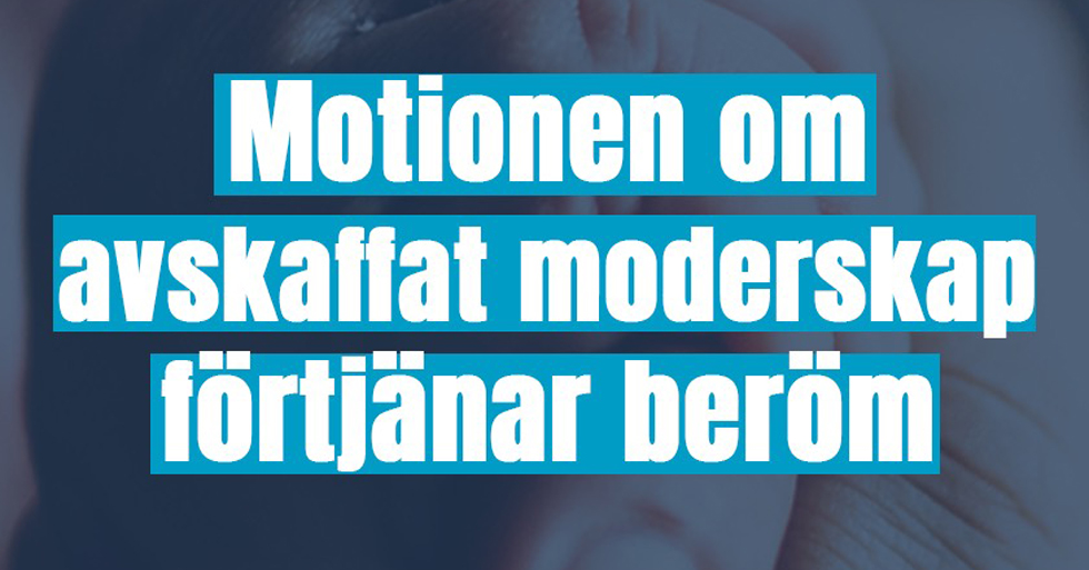 Motionen om avskaffat moderskap förtjänar beröm